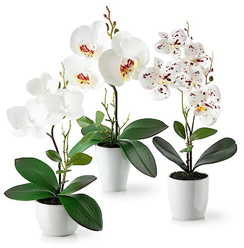 PASCH® Set di 3 fiori artificiali in vaso (35 cm) - Orchidee artificiali - Composizione coordinata in vasi di ceramica brillante - Orchidee artificiali (composizione bianca)