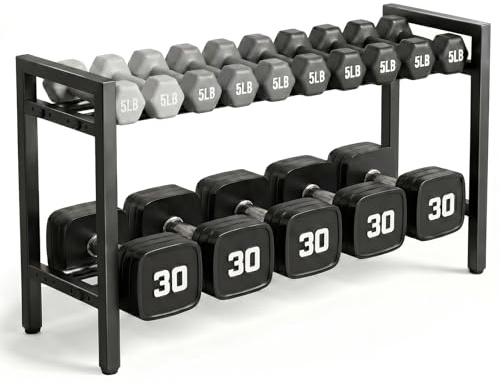 ONZILLO Dumbbell Rack, 2 Tier Weight Rack for Home Gym (Rack Only)