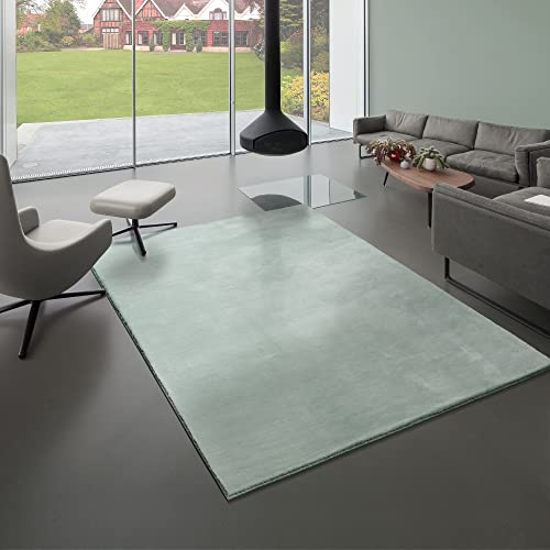 Mia´s Teppiche Bella Kuscheliger Hochflor Langflor Wohnzimmer Fellteppich, Super Soft, Kunstfell, Flauschig, Grün, 160 x 230 cm