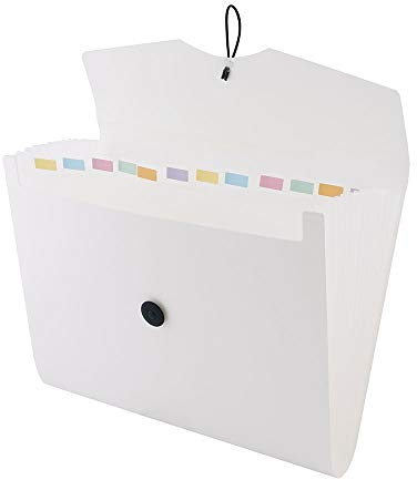 D.RECT 5580 Fächermappe Ordnungsmappe erweiterbar Dokumentenmappen 12 Fächer A4 Weiß