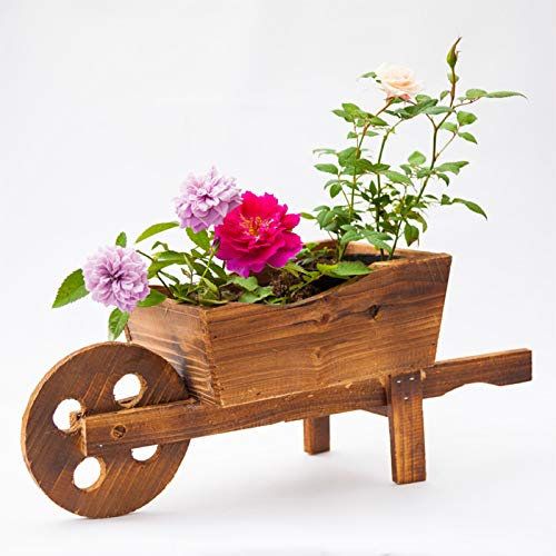RXMORI Vaso da Fiori, Carrello in Legno Vaso da Fiori, Fioriera per Carriola Fioriera per Carro in Legno, Fioriera per Piante da Giardino per Esterni Decorazione per Carriola Vaso per Fiori(#1)