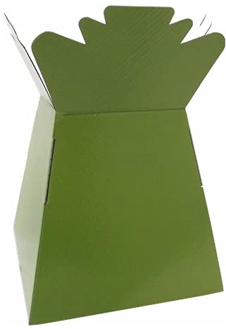 INERRA Florist Boxes - Living Vases for Flower Bouquet Box Making - Pack of 10 (Olive)