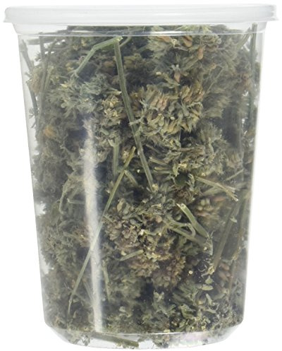 from The Field | Premium Whole Catnip Buds for Cats | Organic, USA-Grown, Fresh & Potent | Natural, Eco-Friendly Cat Treat for Play & Relaxation | Catnip for Indoor Cats | Resealable 1 OZ Tub