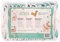 Rearz Alpaca Erwachsene Windelhose ABDL Gr. M
