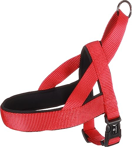 Norweger-Geschirr Abbi ROT XS 35-42CM 20MM