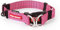 EZYDOG Double Up Dog Collar | Dog Collar Small, Medium, Large Dogs, Reflective Dog Collar, Supreme Comfort, Soft Neoprene Material, Strong Nylon Webbing (Small, Pink)