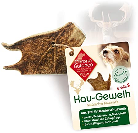 ChronoBalance-S Corno di Cervo Daino per Cani, Confezione da 1, 100% Naturale, Osso di Cervo, Cura Dentale, Giocattolo per Cani, Ricco di Minerali e Nutrienti, Lunga Durata