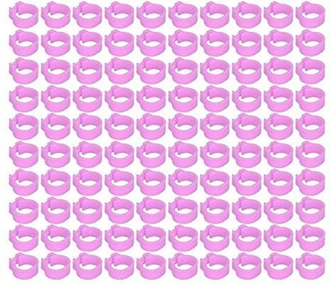 Acouto 100 Pezzi da 8 Mm per Identificazione dei Piccioni, Anelli per Le Gambe, Fasce per Pollame, Parola, Forniture per Piccioni, Rosa, per Calpestare Facilmente Questi, i Tuoi smontare. Questo