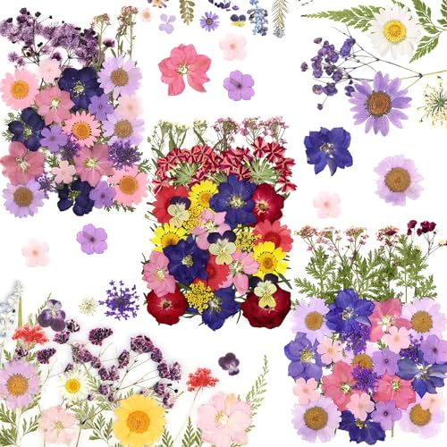 125 Stück Getrocknete Blumen, Natürliche Gepresste Blumen, DIY Getrocknete Blüten, Gemischte Getrocknete Blätter Gänseblümchen für DIY Kerzen Harz Schmuck Nagel Anhänger Kunst Blumen Dekoration