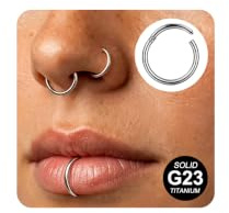 AVYRING 2 st titan näsring 20 G/18 G/16 G gångjärn ringar för kvinnor män brosk helix tragus snäcka Labret septum piercing smycken 6 mm – 12 mm, 18G 6MM, Titan