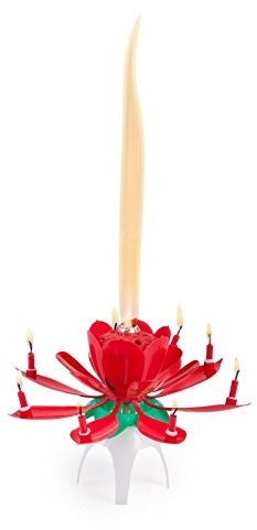 Schleuderhannes - GEBURTSTAGSFONTÄNE - MIT Musik