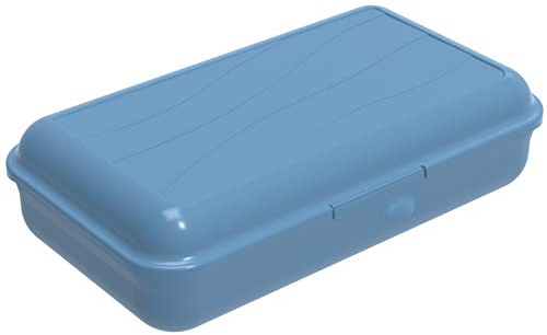 Rotho Fun Vesperdose 1,7l mit herausnehmbarer Trennwand, Kunststoff (PP) BPA-frei, blau, L/1,7l (24,5 x 14,5 x 6,5 cm)