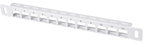 GeeekPi Panel de conexión Keystone en blanco de 12 puertos, 0.5U CAT5/CAT5e/CAT6/CAT6a panel de conexión de red para DeskPi RackMate T1/T0/T2 montaje en rack y rack de servidor/gabinete de red de 10