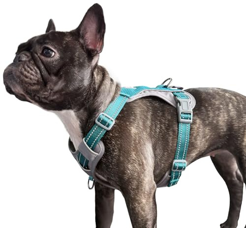 Huntboo Anti Zug Hundegeschirr für kleine mittelgroße Grosse Hunde, No Pull Geschirr, reflektierende Sicherheitsgeschirr mit 2 Leinenclips, kein Würgen, verstellbar für Training und Laufen(Blau,M)