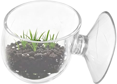 Plato de Alimentación para Acuario Bandeja Flotante con