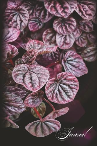 Flowers at Night: Rex Begonia Journal: Lined Notebook with Artistic Botanical Photography Cover