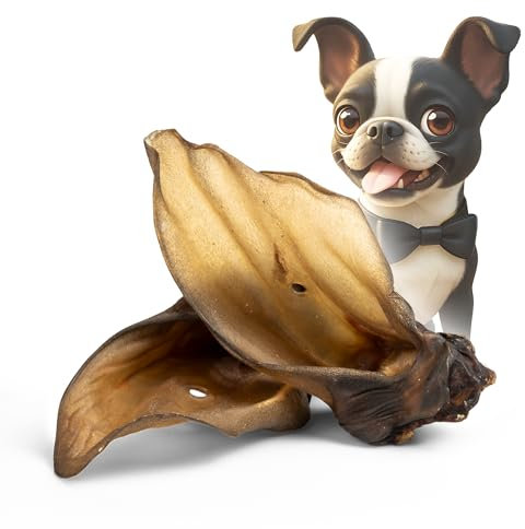 BONE APPETIT Rinderohren mit Muschel XL – ca. 900 g / 10 Stück | Hundesnack, ohne Zusätze, Zahnpflege, Hundeleckerli, Kauartikel für Hunde