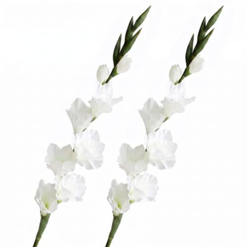 Uanqfegy 2 st vita fuskblommor inomhus, 83 cm konstgjorda gladiolus med stjälkar för hem bröllop trädgård arrangemang dekor