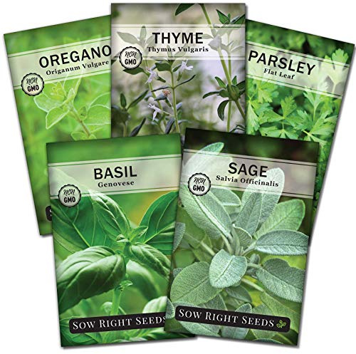 Sow Right Seeds - Italian Herb Garden Seed Collection for Planting - Basil, Oregano, Parsley, Sage, and Thyme - Non-GMO Heirloom Packet with Instructions to Grow a Kitchen Garden Indoors or Outdoors