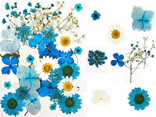 35pz Fiori secchi pressati Foglie Candele di colore fai-da-te naturali reali Ciondoli di gioielli in resina decorativa artistico Cassa del telefono per unghie Trucco facciale