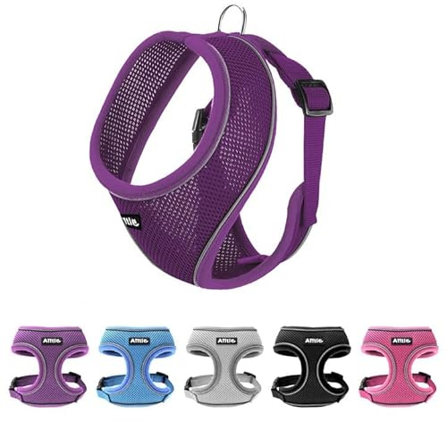AIITLE Arnés para perros para niñas de tamaño mediano, cómodo y ajustable, con cierre rápido, tiras de seguridad reflectantes, perfecto para barbones y ositos de peluche (M, violeta)
