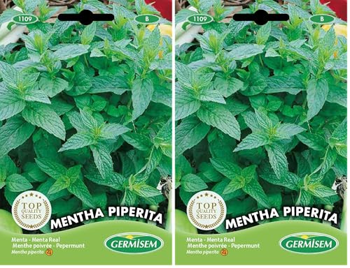 Germisem Mentha Piperita Semillas de Menta 0.2 g (Paquete de 2)