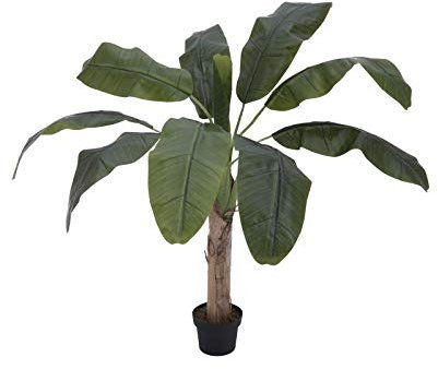 Europalms 82509503 bananträd, 100 cm, flera färger, en storlek