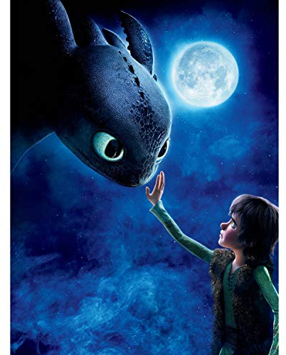 HUANNY DIY-Diamant-Malerei-Set für Erwachsene, 5D-Vollbohrer-Diamantkunst mit Werkzeugen und Zubehör