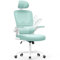 naspaluro Ergonomic Office Chairs with Lumbar Support, Home Office Desk Computer Chairs, Adjustable Headrest and Flip-up Armrests, High Back Swivel Mesh Task Chair-Green Chair