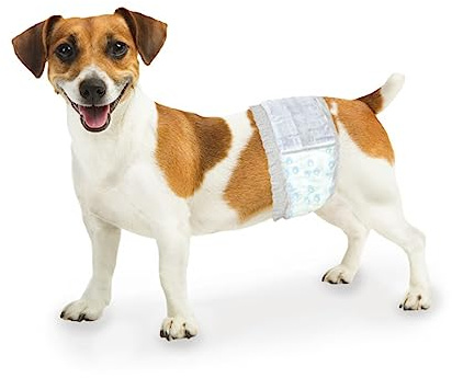 Four Paws Wee-Wee Super Absorbent Disposable Adjustable Dog Potty Training Male Wraps Diapers, Leak-Proof Protection for Puppies and Small Dogs, Extra Small, 36 Count