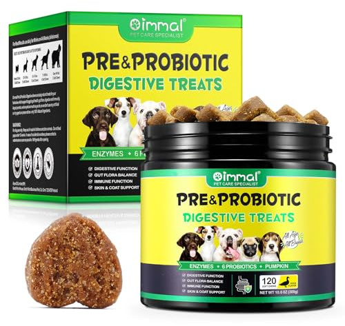 JSBNQRMZ 5-in-1 Dog Probiotic Chews 120ct | Gut Health, Sensitive Stomach, Skin & Allergy Support for Dogs | Vet Recommended Formula to Stop Bum Scooting | Scrambled Eggs Flavor