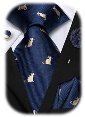 Hi-Tie Mens Navy Tie Set and Pocket Square Set Silk Formal Necktie and Lapel Pin Set for Wedding Business