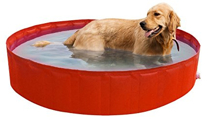New Plast 0106 - My Dog Pool Piscina per Cani, 220 x 30 cm (ØxH)