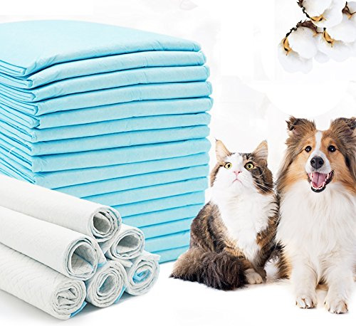 BPS® - Tappetini igienici per l’addestramento di cani e gatti, con feromoni per Attirare i cuccioli e semplificare l’addestramento, prodotto per animali domestici, misura XL, 60 x 90 cm, BPS-2170