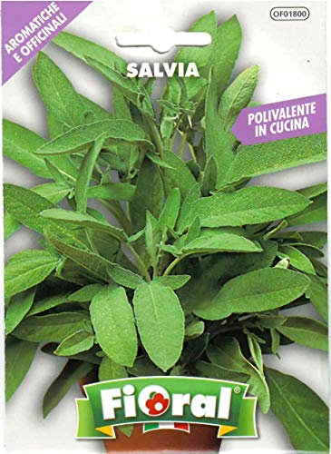 Sementi di piante aromatiche e officinali in bustina ad uso amatoriale (SALVIA)