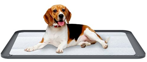 Supporto per tappetino per pipì, in silicone, a prova di perdite, con bordo rialzato da 1,5 cm per protezione del pavimento, vassoio antiscivolo per addestramento del vasino per cani di piccola taglia