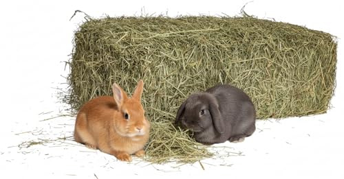 Foin naturel pour lapins 5 kg | Balle de foin italien de prairie de montagne séchée au soleil | Nourriture pour cochons d'Inde, Tous les rongeurs, chevaux, ovins, caprins, bétail | Haute Qualité