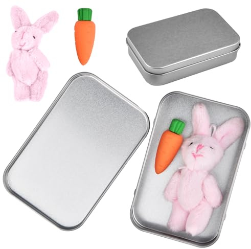 Yizemay Easter Bunny in A Box, Easter Gifts for Kids Adults, A Little Pocket Rabbit Hug Mini Bunny Hug Cute Basket Stuffer Stuffed Animals Positive Miss You Gifts.