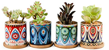 XUDREZ Plant Pots Ceramic,Set of 4 Succulent Plant Pots 7.3CM Mini Flower Pots with Bamboo Tray Decor for Home and Office (Set 2)