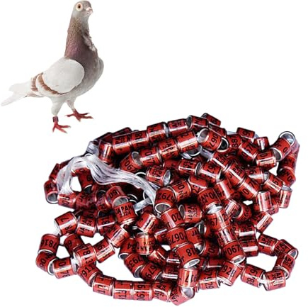 Anillos para bandas de palomas, bandas para patas de 2025 - Anillos para