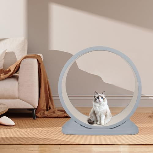 Rueda de ejercicio para gatos 80 cm, cinta de correr para gatos, cojines de rascado, cinta de correr de seguridad, gatito, para correr, caminar, entrenamiento (gris)