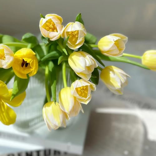 tulpenzwiebeln winterhart mehrjährig, tulpen zwiebeln - exotische pflanzen, blumen zwiebeln bulbs tulpenzwiebel, blumen geschenk, blumenstrauß topfpflanzen draußen winterhart 2pcs