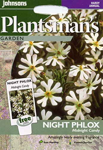 Johnsons Seeds - Pictorial Pack - Flower - Night Phlox Midnight Candy - 250 Seeds