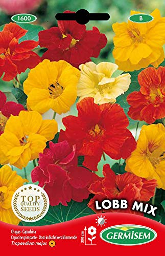 Germisem Lobb Mix Graines de Cresson Capucin 5 g EC1600 Multicolore