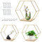 MaxAwe Hexagon Wandregal Metall 3er Set, Wanddeko Hängeregal Schweberegal in 3 Größen, Sechseck Regale für Wohnzimmer, Schlafzimmer, Bad, Flur, Café, Wohnung (Gold)