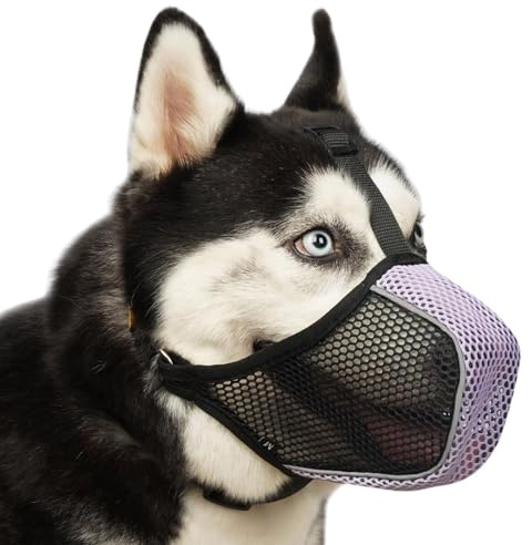 Mayerzon Dog Muzzle, Patented Mesh Soft Muzzles for Large Medium Small Dogs Poodle Husky Doberman Labrador Retriever for Scavenging Grooming Biting Chewing, Breathable Reflective Mussel with Collar