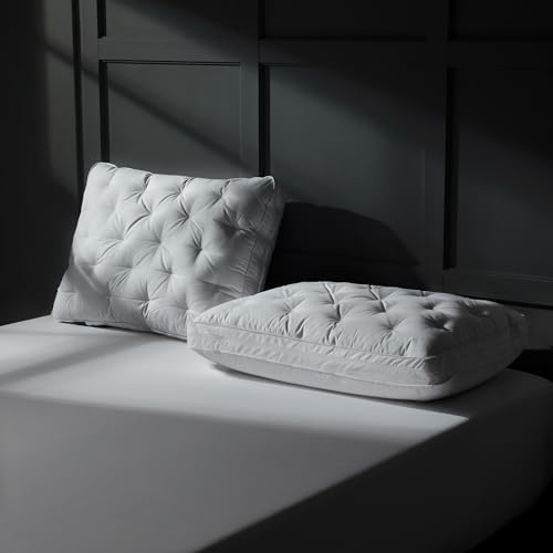 Three Geese Adjustable Layer Goose Feather Down Pillows Queen Set of 2, Assemblable Bed Pillow with Cotton Cover for Side/Back/Stomach Sleepers, Customizable Firmness Design 20x28