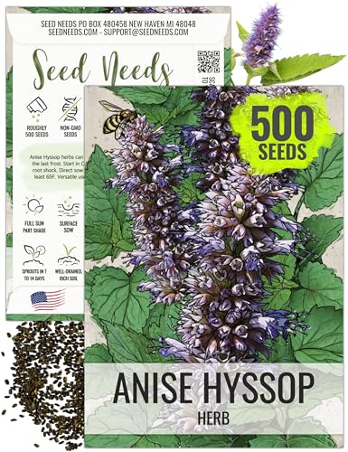 Seed Needs Anise Hyssop Seeds to Plant Perennial Heirloom Herbs 1 Pack