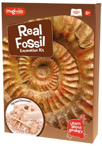 MAGNOIDZ Geology Fossil DIG & Excavation Kit