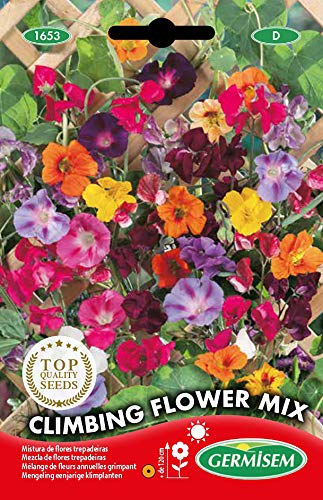 Germisem Graines Mélange de fleurs annuelles grimpant CLIMBING FLOWER MIX